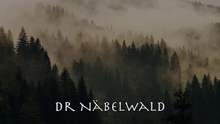 Ds Nachtvolk - Dr Näbelwald
