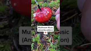 Modern Biology - Amanita mushroom music 🍄✨ #plants #shorts #synth #mushroom