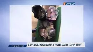 СБУ заблокувала гроші для "ДНР-ЛНР"