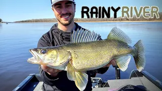 Rainy River Walleyes (2021) Tips & Conditions