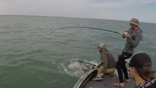 MEGA MUSKY on Lake ST Clair