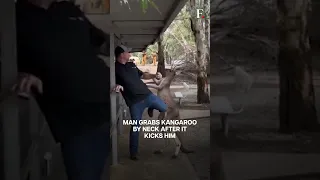 WATCH: A Dramatic Brawl between Man & A Kangaroo At An Australian Wildlife Park