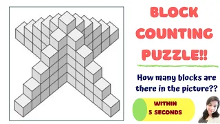 Block Counting Puzzle!!How many blocks are there in the picture??Can you solve this within 5 second!