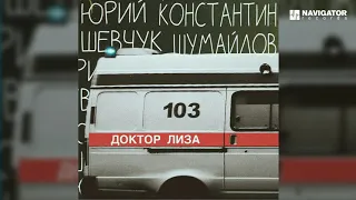 Юрий Шевчук и Константин Шумайлов - Доктор Лиза (Аудио)