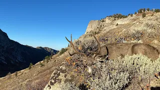 Nevada back country mule deer hunt 2022 round 2!!!