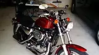 2001 Harley Sportster 1200 Custom Cold Start