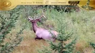 2013 Saskatchewan 340 Point Elk Hunt