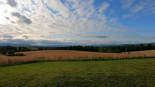 Country Sunset View || Nature Sounds - Birds, Insects, Cows || Relaxation, Ambient Sounds