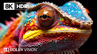 The Magnificent Earth By 8K HDR | Dolby Vision™