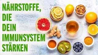 NÄHRSTOFFE, DIE DEIN IMMUNSYSTEM STÄRKEN! | Vorteile von | Tipps für ein Gesundes