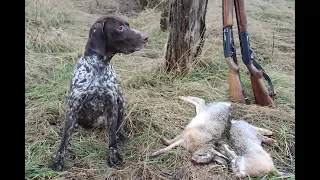 Охота на зайца. Ты мне, я тебе! Hunting for hares