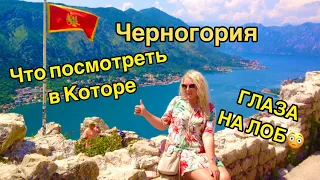 ЧЕРНОГОРИЯ СЕГОДНЯ Котор Все в шоке