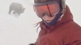 Сноубордистка и медведь! Snowboarder Girl Chased By Bear