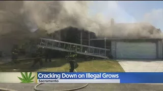 Sacramento Planning Crackdown On Illegal Cannabis Home Grows