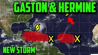Will Invest 98L Form Into Tropical Storm Hermine In The Caribbean?