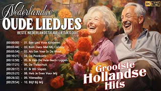 De Beste Nederlandstalige Liedjes Uit Vervlogen Tijden 🌿 Muziek Van Oude Herinneringen
