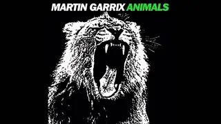 Martin Garrix - Animals 1 Hour