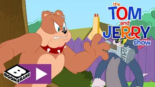 A Tom & Jerry Show | Tom, a kutya | Cartoonito