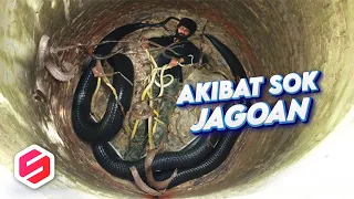 AKIBAT SOK JAGOAN, Aksi Pawang Ular Ini Justru Berakibat Fatal.