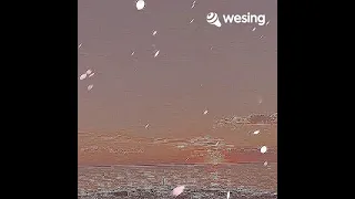 Video ini dari WeSing                         酒國英雄