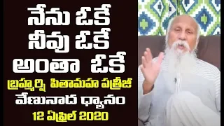 I'm ok, you're ok, everything's ok I Patriji Message | PMC Telugu