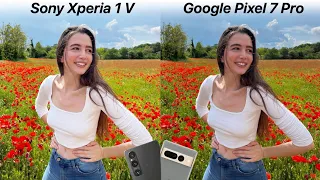 Sony Xperia 1 V vs Google Pixel 7 Pro Camera Test