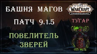 [Patch 9.1.5] Башня магов: испытание БМ охотник / Legion timewalk Mage tower: BM hunter