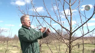 Siguldas novada saimniecība ''Pīlādži''