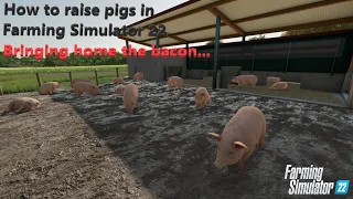How to raise and profit from pigs in Farming Simulator 22 - Bringing Home the Bacon