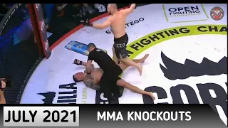 Best MMA Knockouts July 2021 Fights HD