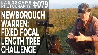 Photography Tree Challenge. Newborough, Anglesey