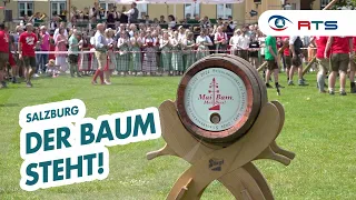 Stiegl Maibaum Aufstellen: Tausende warten auf "Baum steht!"