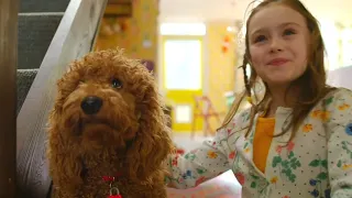 Back To School! | Waffle the Wonderdog | Live Action Videos for Kids | WildBrain Zigzag