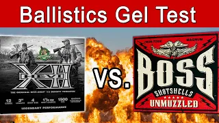 HEVI XII vs. BOSS Bismuth – Ballistics Gel & Pattern Test