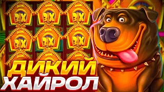 ПОХОЖЕ Я ВСЁ ТАКИ ПОЗНАЛ ХАЙРОЛ: THE DOG HOUSE