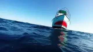Shark Dive On Emerald Dive Charters, Jupiter, FL 11/02/15