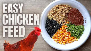 HOW TO MAKE YOUR OWN DIY HEALTHY HOMEMADE CHICKEN FEED