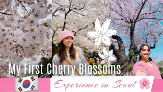 LIFE IN #korea |APRIL VLOG | CHERRY BLOSSOMS SA SEOUL | #lifeinseoul