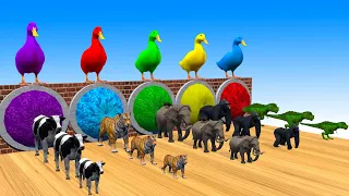 5 Giant Duck Cartoon,Dinosaur,Tiger,Cow,Gorilla,Dog,Mammoth Elephant Wild Animals Crossing Fountain