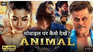 Secrets of Bollywood Animal Movie: 2024 Preview // movie reaction #animal #bollywood