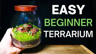 Beginner Terrarium Tutorial - SIMPLE & EASY Step by Step Guide