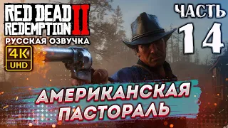 Прохождение Red Dead Redemption 2 с озвучкой в 4к и 60fps➤ # 14 ✦АМЕРИКАНСКАЯ ПАСТОРАЛЬ✦