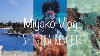 【宮古島Vlog】日本最南端Hyatt系SLH シギラリゾートを解剖🍴|シギラミラージュ・アラマンダ