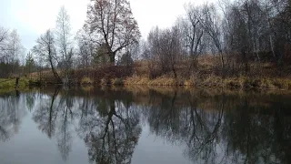 А Твардовский  Я знаю, никакой моей вины #стихиовойне #поэты20века