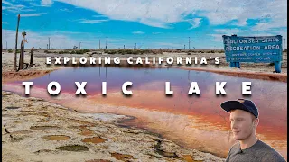 Exploring the Salton Sea: An Abandoned Paradise