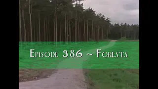 Forests