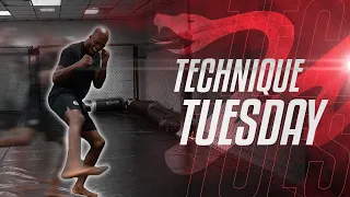 Michael 'Venom' Page Teaches New Tricks & Techniques in MMA! | Tutorial Tuesday