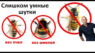 Лютые приколы. Слишком умные шутки