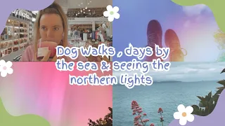 Dog Walks, Days By The Sea & Seeing The Northern Lights 🦋✨ #vlog #northernlights