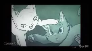 Коты воители Белогривка и Остролап (мини - видео)